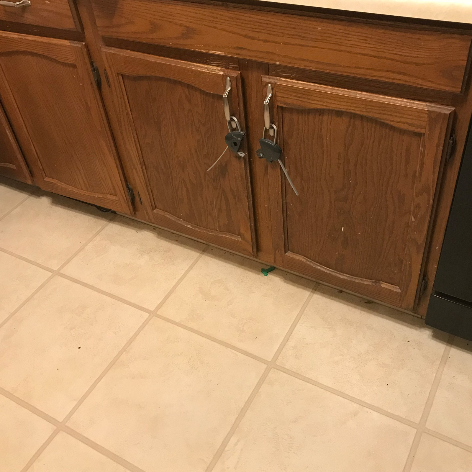 Entry 147 - These kitchen cabinets are looking old and worn-out-looking